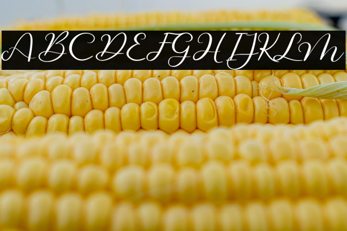 Beautiful Odete Example 3