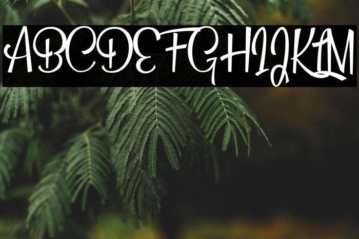 Beautiful People Personal Use  Example 3