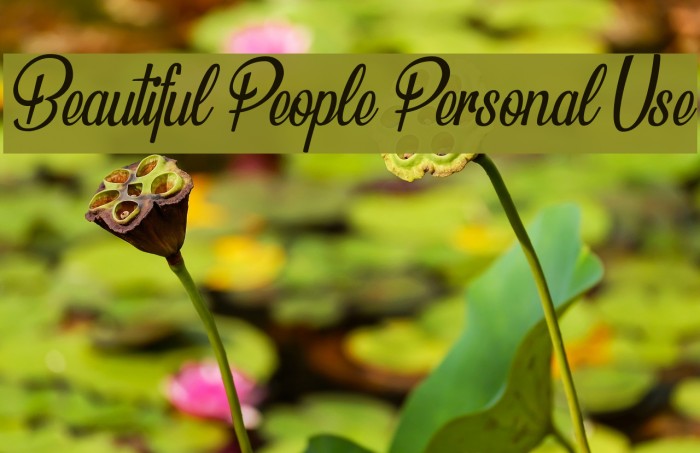 Beautiful People Personal Use Font examples