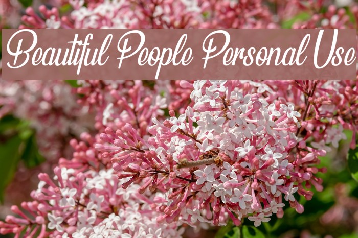 Beautiful People Personal Use Font examples