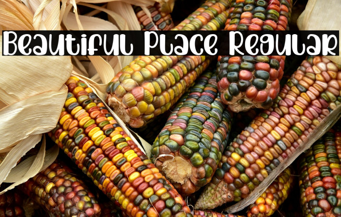 Beautiful Place Regular Example 1