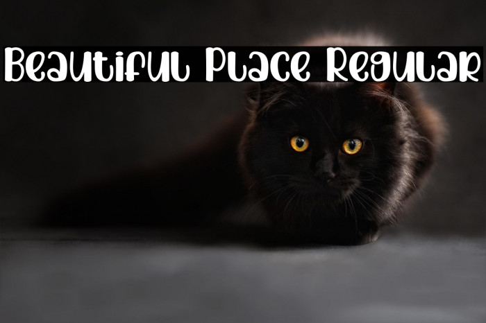 Beautiful Place Regular Example 3