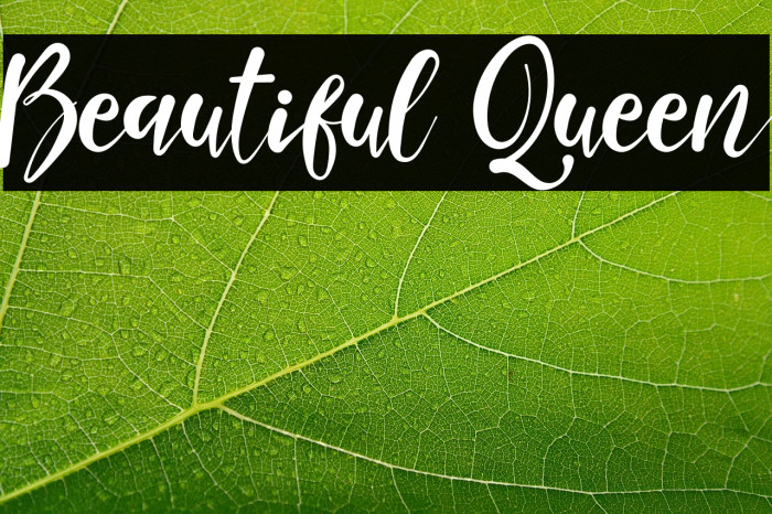 Beautiful Queen Example 1