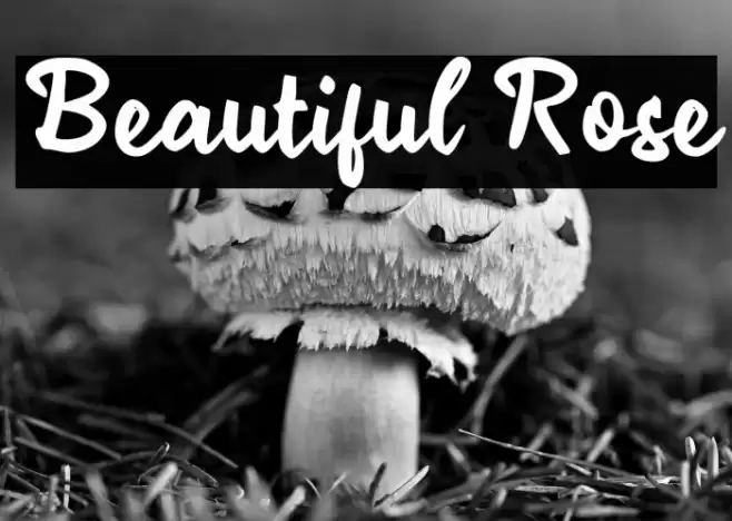 Beautiful Rose Font examples