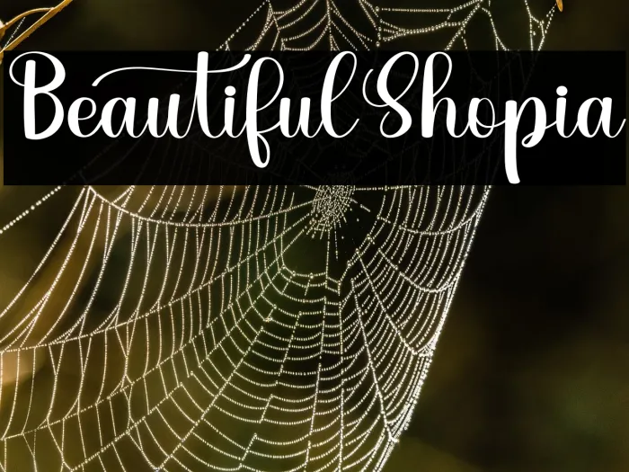 Beautiful Shopia Example 3