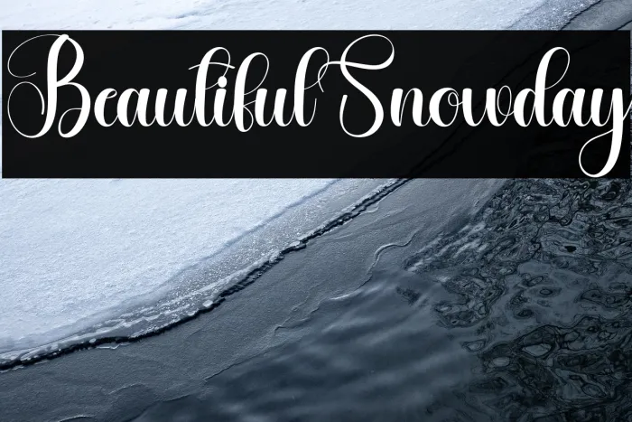 Beautiful Snowday Example 2