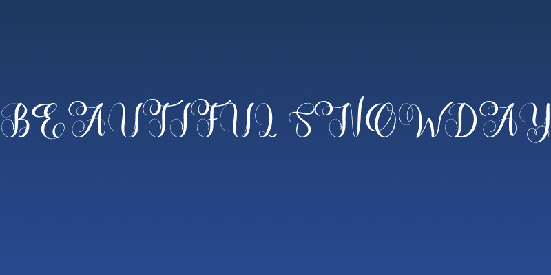 Beautiful Snowday Social Header