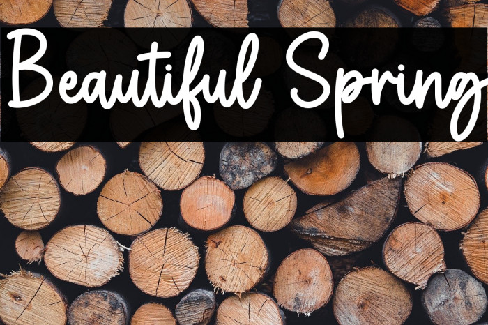 Beautiful Spring Example 1