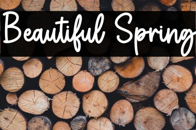 Beautiful Spring Example 1