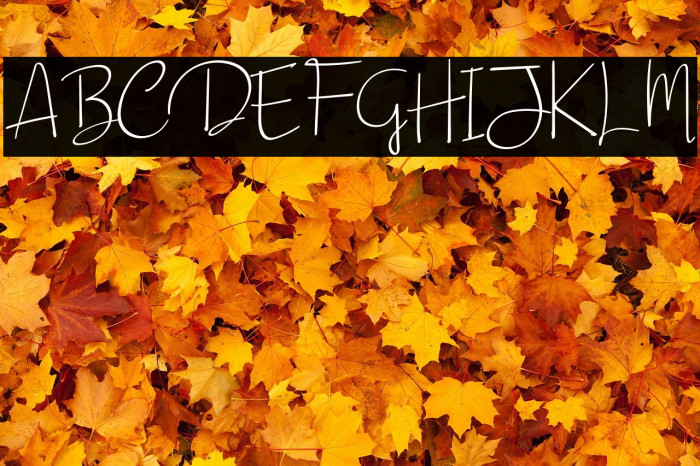 Beautiful Sunday Example 2