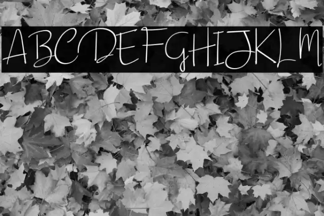 Beautiful Sunday Font examples