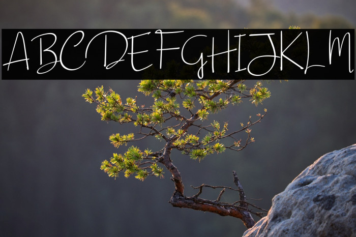 Beautiful Sunday Example 3