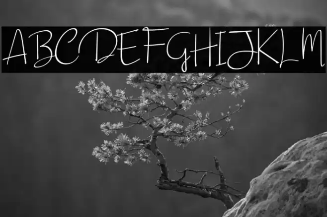 Beautiful Sunday Font examples