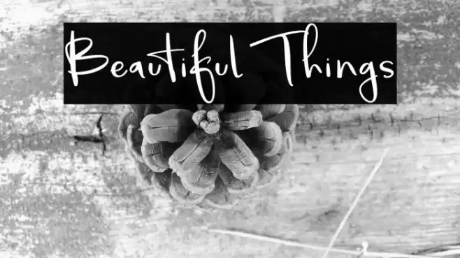 Beautiful Things Font examples