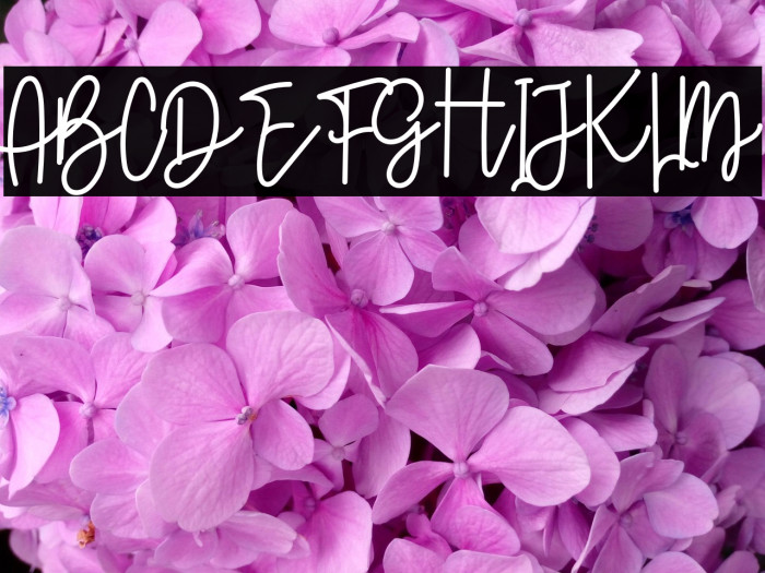 Beautiful Valentine Example 1