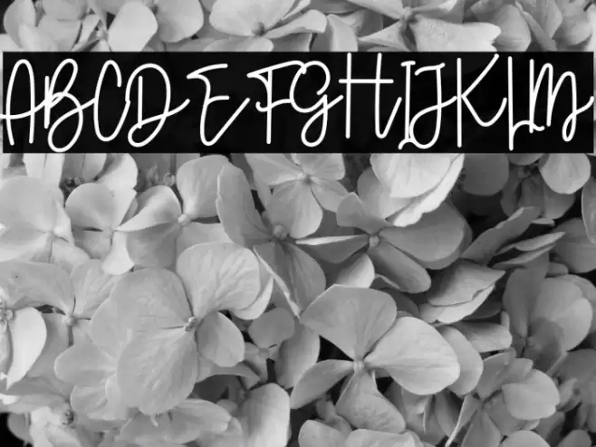 Beautiful Valentine Font examples