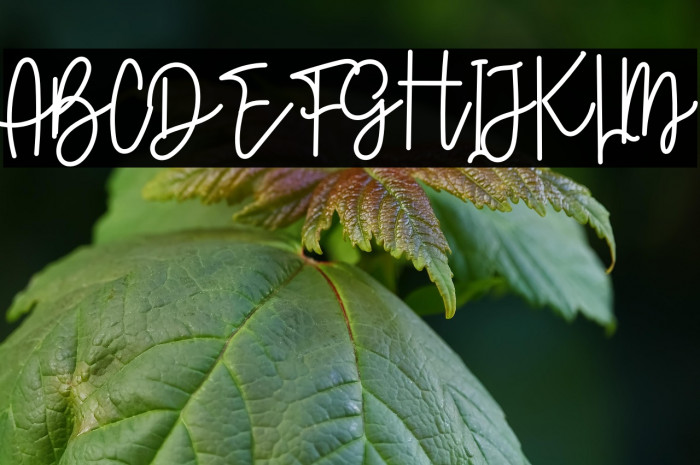 Beautiful Valentine Example 3