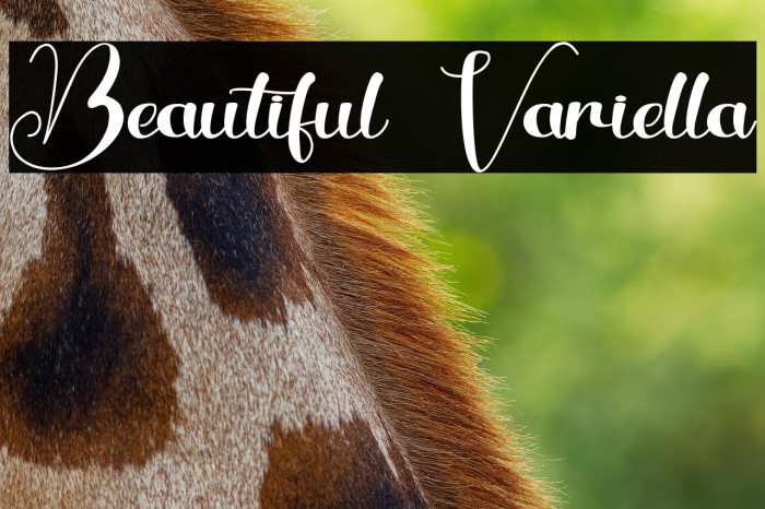 Beautiful Variella Example 1