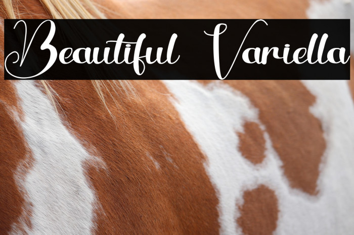 Beautiful Variella Example 2