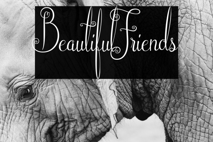 BeautifulFriends Font examples