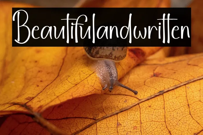 BeautifulHandwritten Example 3