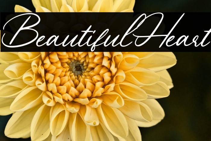 BeautifulHeart Example 2