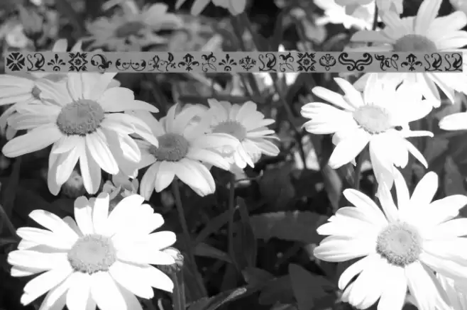 BeautifulOrnamentsThree Font examples