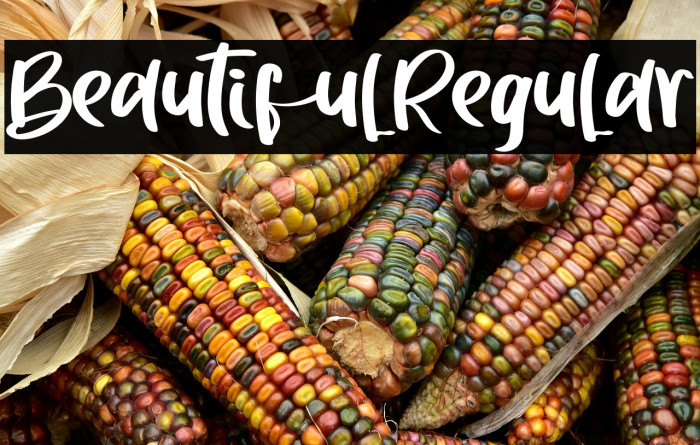 BeautifulRegular Example 1