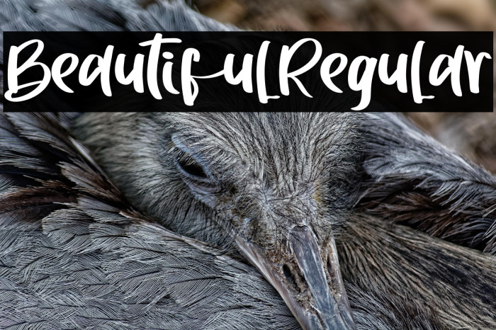 BeautifulRegular Example 2