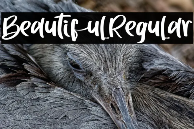 BeautifulRegular Example 2