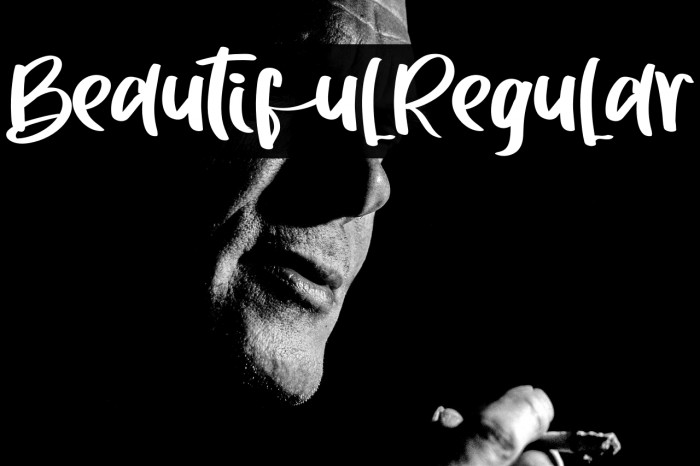 BeautifulRegular Example 3