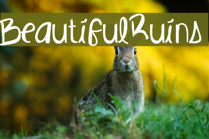 BeautifulRuins Example 3