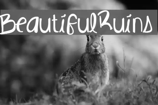 BeautifulRuins Font examples