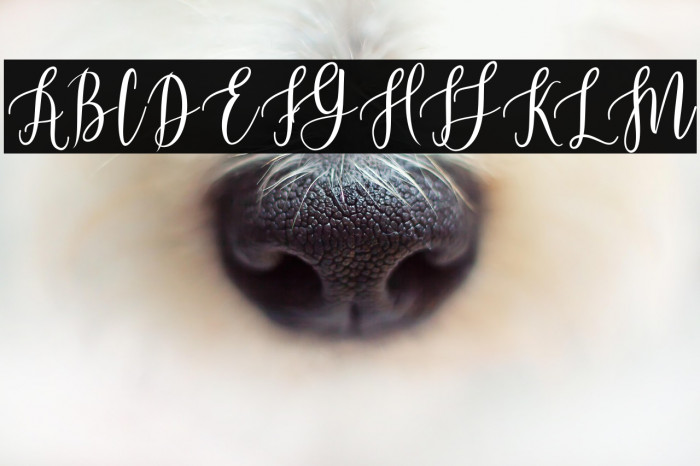 BeautifulScript-Light Example 1