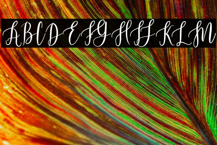 BeautifulScript-Light Example 2