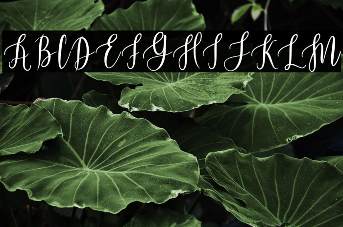 BeautifulScript-Light Example 2