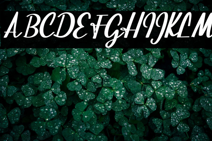 BeautifulScript-script Example 1