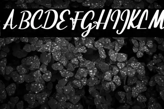 BeautifulScript-script Font examples