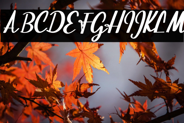 BeautifulScript-script Example 2