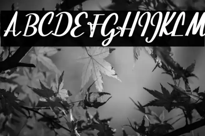 BeautifulScript-script Font examples