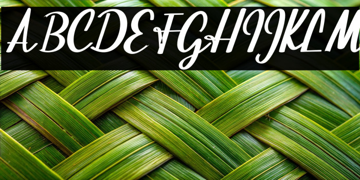 BeautifulScript-script Example 3