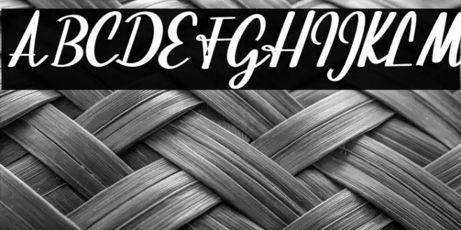 BeautifulScript-script Font examples