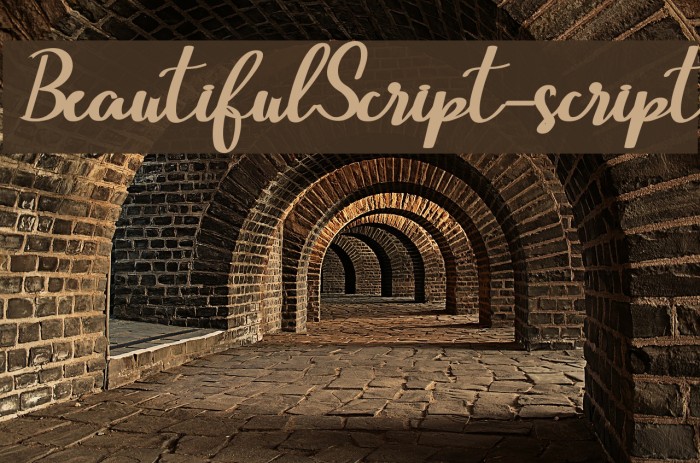 BeautifulScript-script Polices examples