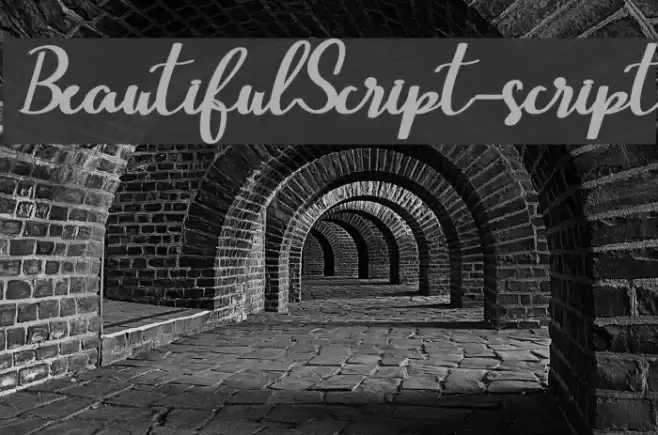 BeautifulScript-script Font examples