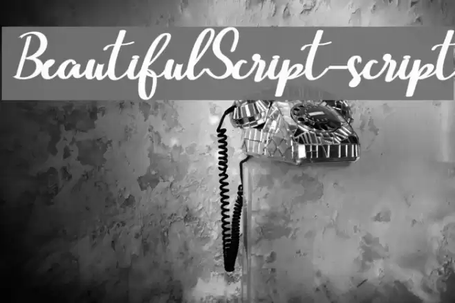 BeautifulScript-script Font examples