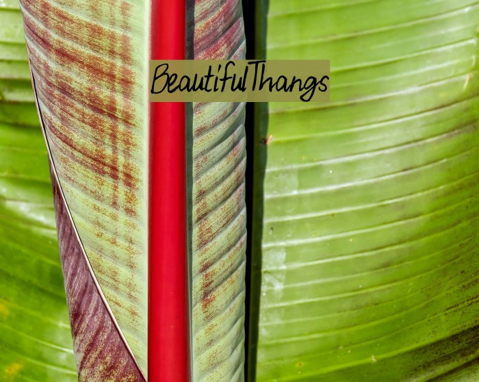 BeautifulThangs Font examples