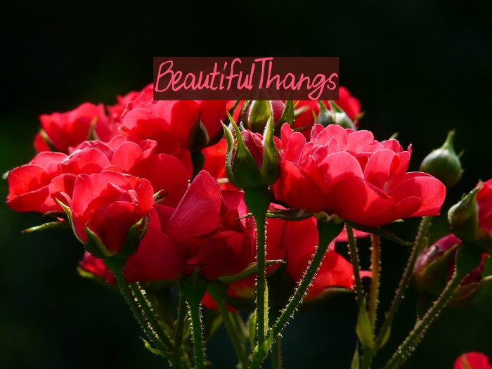 BeautifulThangs Font examples
