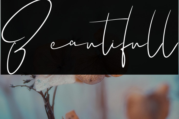 Beautifull Example 1