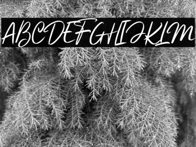 Beautifully DEMO Font examples