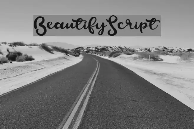 BeautifyScript フォント examples